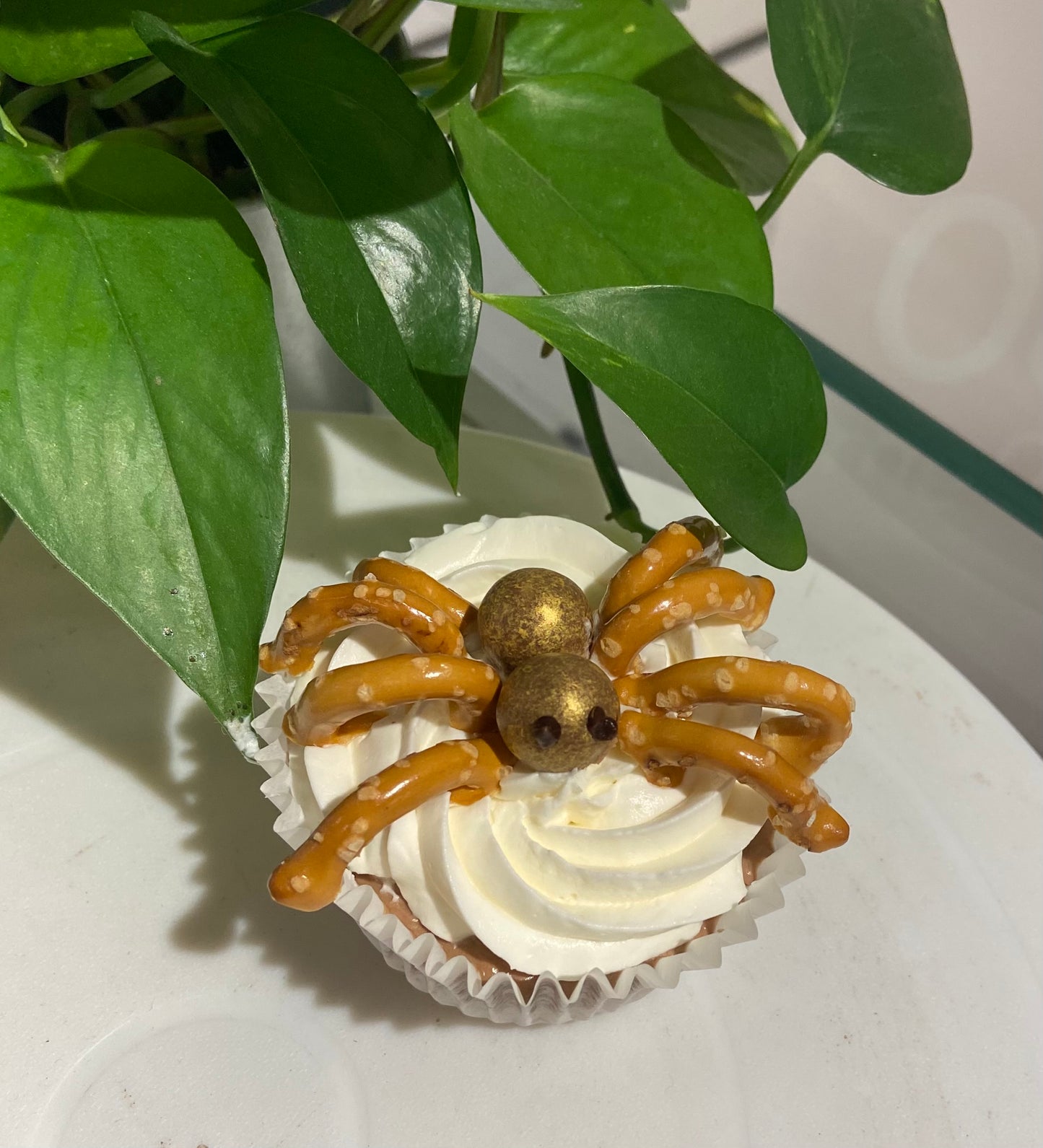 Halloween Spider Cupcake